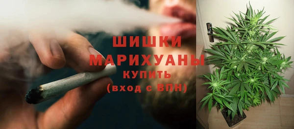 гидра Алзамай