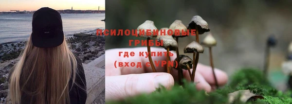 гидра Алзамай