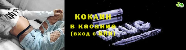 прущие грибы Алексеевка
