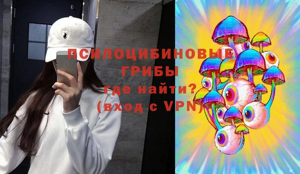 гидра Алзамай