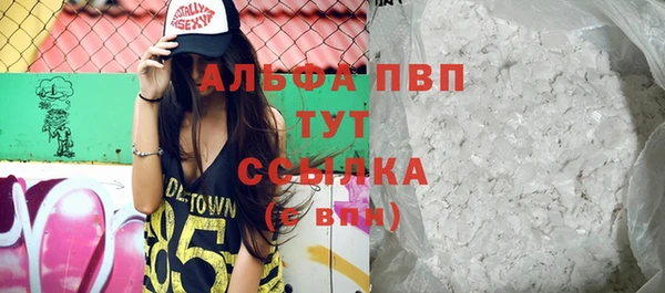 винт Алексин