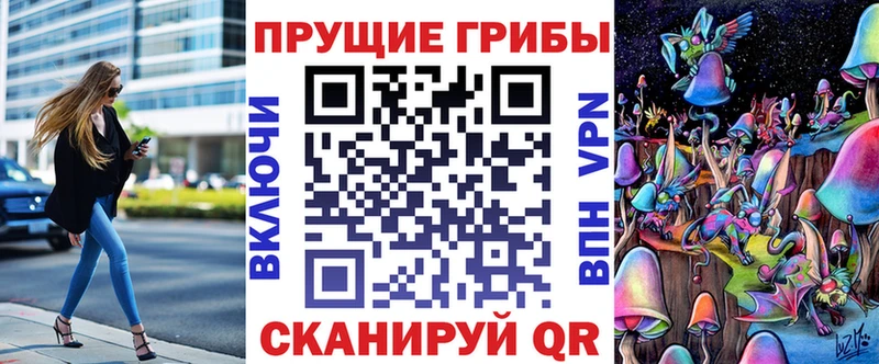 наркошоп  Иланский  Псилоцибиновые грибы Psilocybine cubensis 